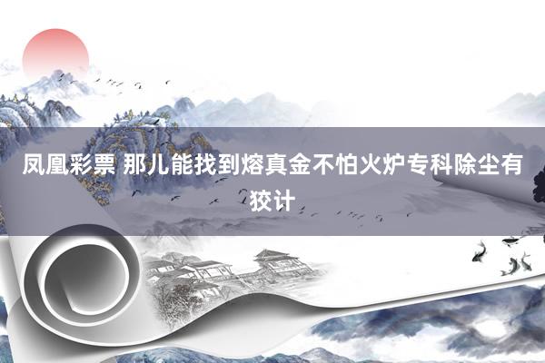 凤凰彩票 那儿能找到熔真金不怕火炉专科除尘有狡计
