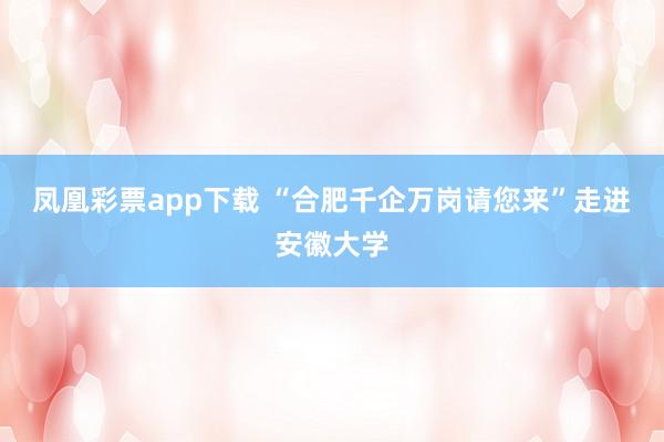 凤凰彩票app下载 “合肥千企万岗请您来”走进安徽大学