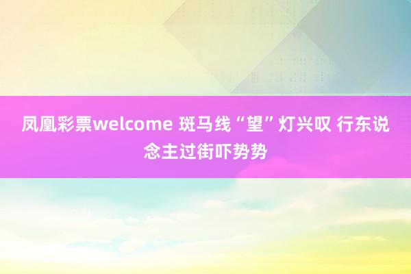 凤凰彩票welcome 斑马线“望”灯兴叹 行东说念主过街吓势势