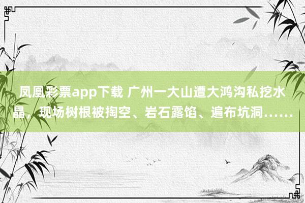 凤凰彩票app下载 广州一大山遭大鸿沟私挖水晶，现场树根被掏空、岩石露馅、遍布坑洞……