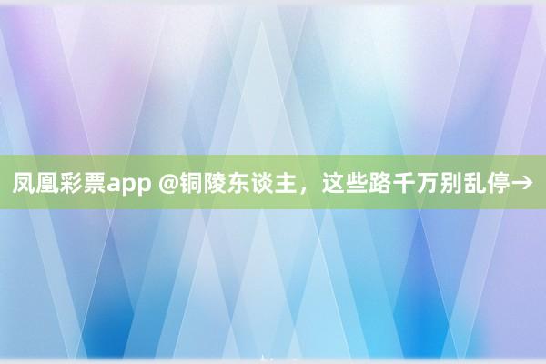 凤凰彩票app @铜陵东谈主，这些路千万别乱停→