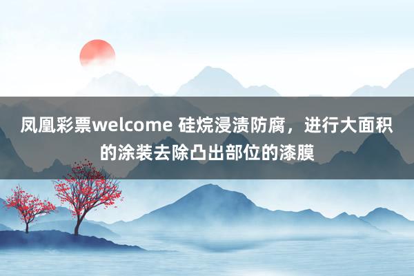 凤凰彩票welcome 硅烷浸渍防腐，进行大面积的涂装去除凸出部位的漆膜
