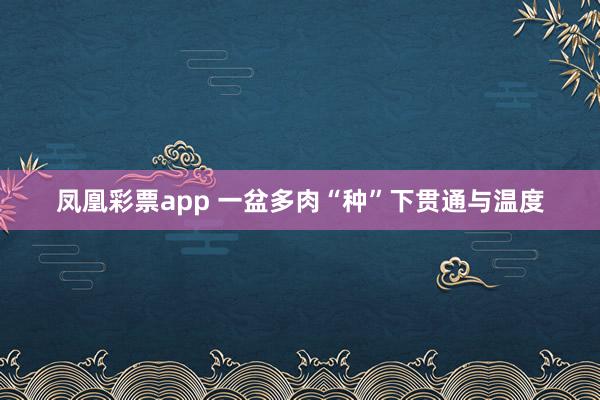 凤凰彩票app 一盆多肉“种”下贯通与温度