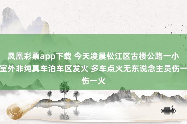 凤凰彩票app下载 今天凌晨松江区古楼公路一小区室外非纯真车泊车区发火 多车点火无东说念主员伤一火