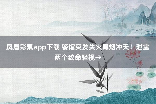 凤凰彩票app下载 餐馆突发失火黑烟冲天！泄露两个致命轻视→