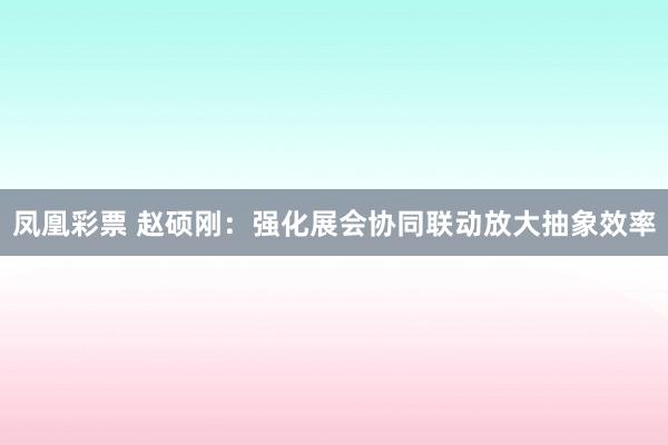 凤凰彩票 赵硕刚：强化展会协同联动放大抽象效率
