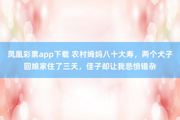 凤凰彩票app下载 农村姆妈八十大寿，两个犬子回娘家住了三天，侄子却让我悲愤错杂