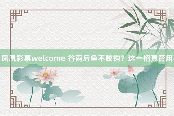 凤凰彩票welcome 谷雨后鱼不咬钩？这一招真管用