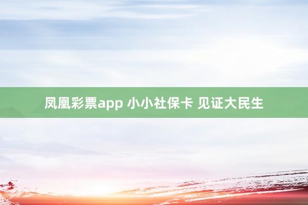 凤凰彩票app 小小社保卡 见证大民生