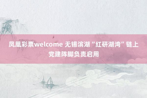 凤凰彩票welcome 无锡滨湖“红研湖湾”链上党建阵脚负责启用
