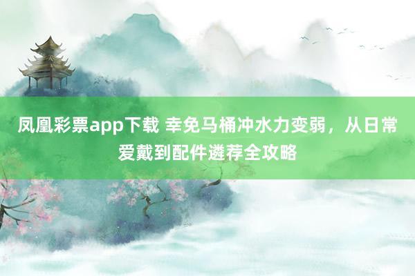 凤凰彩票app下载 幸免马桶冲水力变弱，从日常爱戴到配件遴荐全攻略