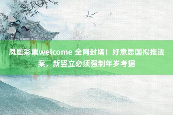 凤凰彩票welcome 全网封堵！好意思国拟推法案，新竖立必须强制年岁考据