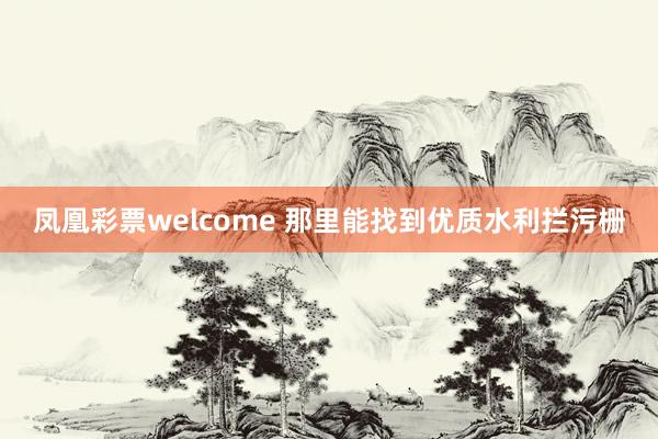 凤凰彩票welcome 那里能找到优质水利拦污栅