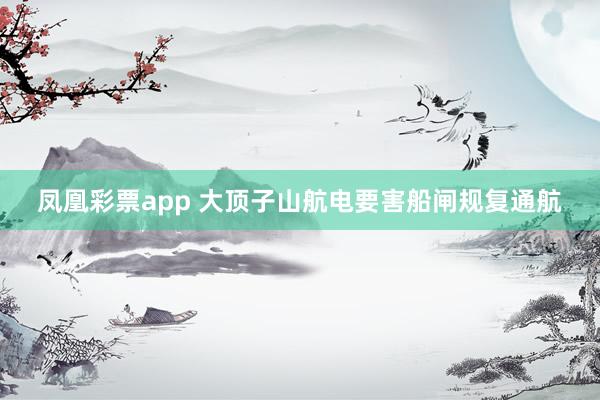 凤凰彩票app 大顶子山航电要害船闸规复通航