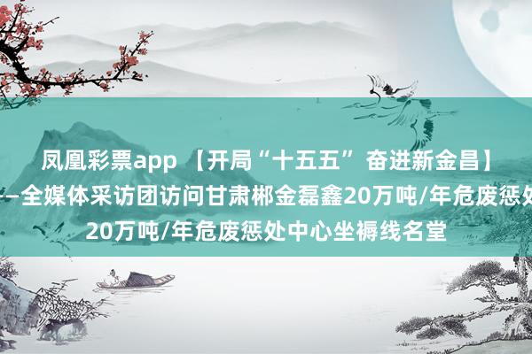 凤凰彩票app 【开局“十五五” 奋进新金昌】变废为宝释绿能——全媒体采访团访问甘肃郴金磊鑫20万吨/年危废惩处中心坐褥线名堂