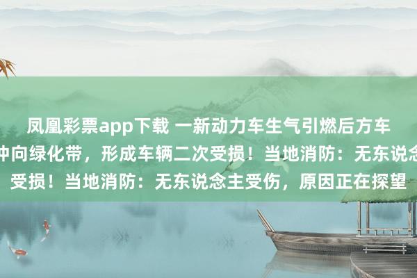 凤凰彩票app下载 一新动力车生气引燃后方车辆，后车车主挪车纰缪冲向绿化带，形成车辆二次受损！当地消防：无东说念主受伤，原因正在探望