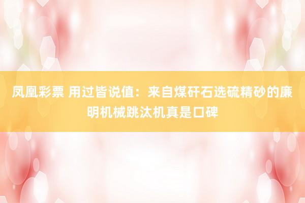 凤凰彩票 用过皆说值：来自煤矸石选硫精砂的廉明机械跳汰机真是口碑