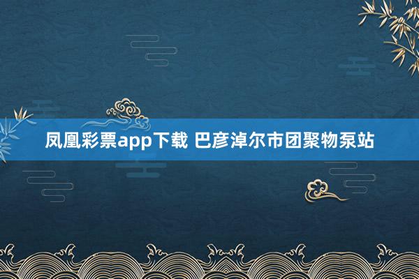 凤凰彩票app下载 巴彦淖尔市团聚物泵站