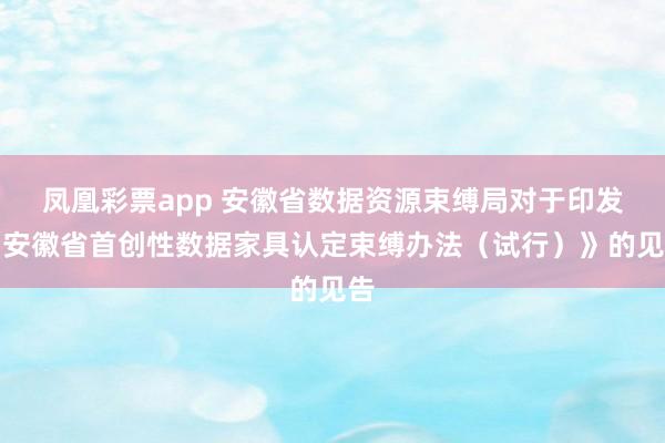凤凰彩票app 安徽省数据资源束缚局对于印发《安徽省首创性数据家具认定束缚办法（试行）》的见告