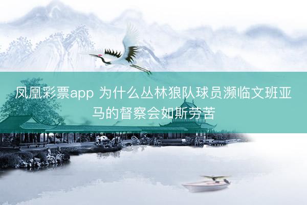 凤凰彩票app 为什么丛林狼队球员濒临文班亚马的督察会如斯劳苦