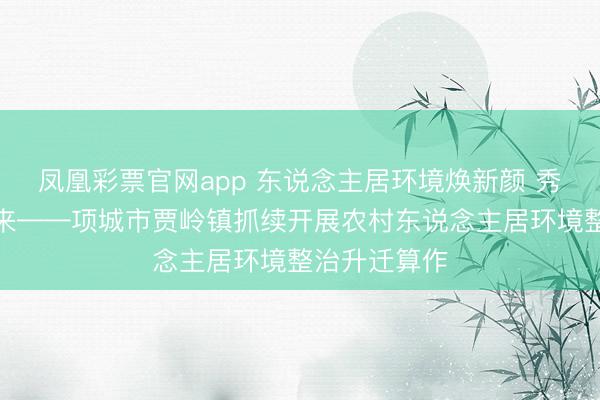 凤凰彩票官网app 东说念主居环境焕新颜 秀美乡村入画来——项城市贾岭镇抓续开展农村东说念主居环境整治升迁算作